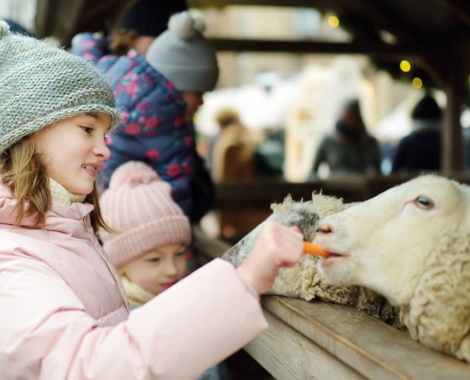 weihnachtsmarkt
